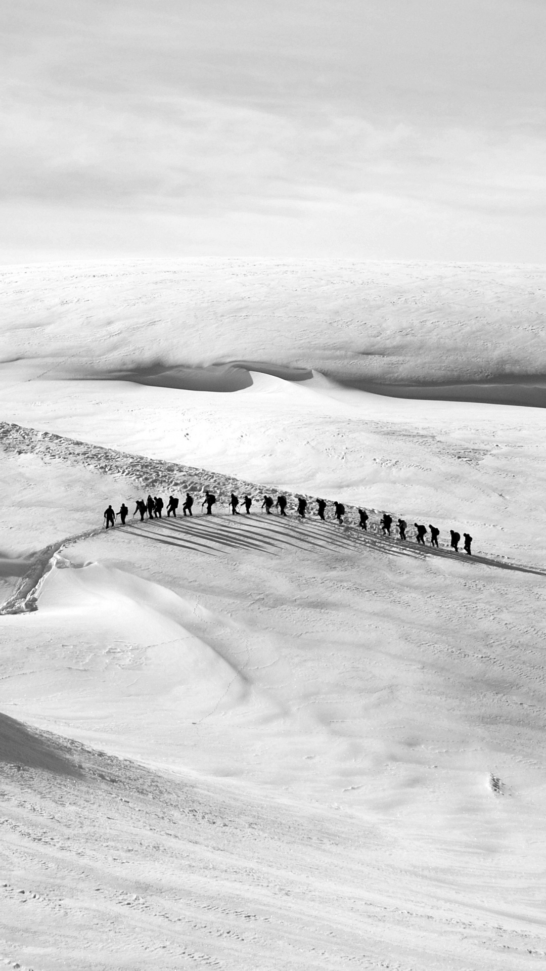 Photo en Niveaux de Gris D'une Montagne Couverte de Neige. Wallpaper in 1080x1920 Resolution