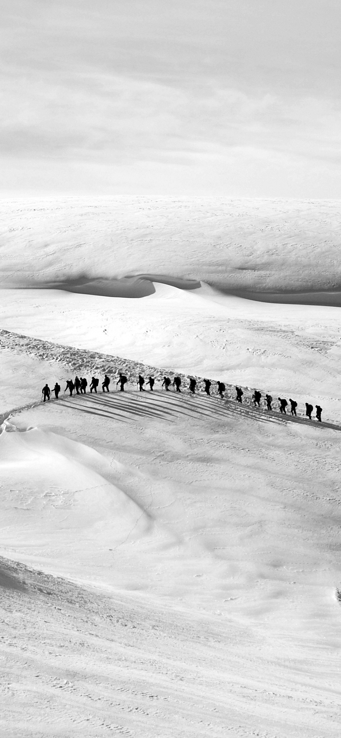 Photo en Niveaux de Gris D'une Montagne Couverte de Neige. Wallpaper in 1125x2436 Resolution