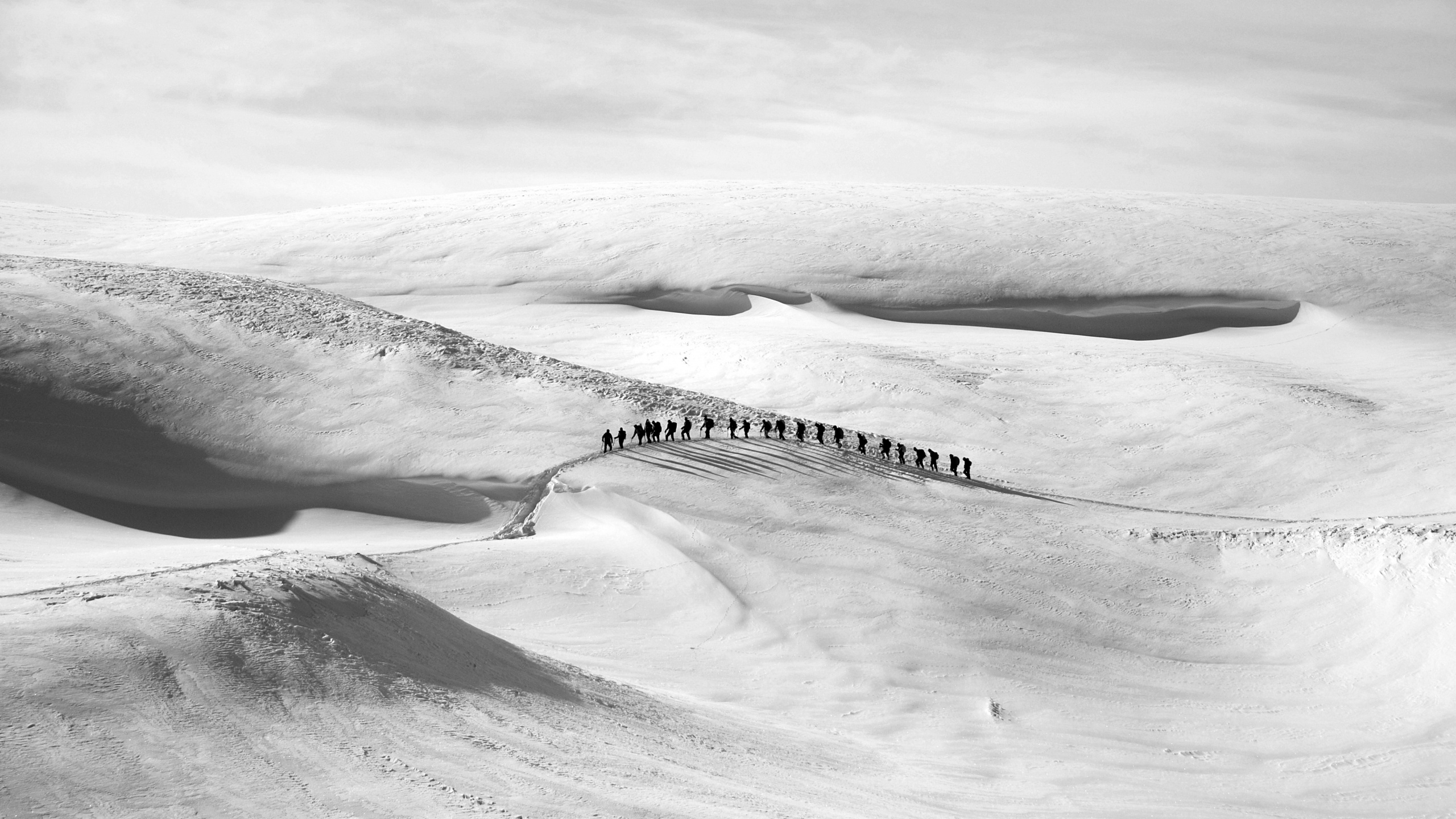 Foto en Escala de Grises de la Montaña Cubierta de Nieve. Wallpaper in 2560x1440 Resolution