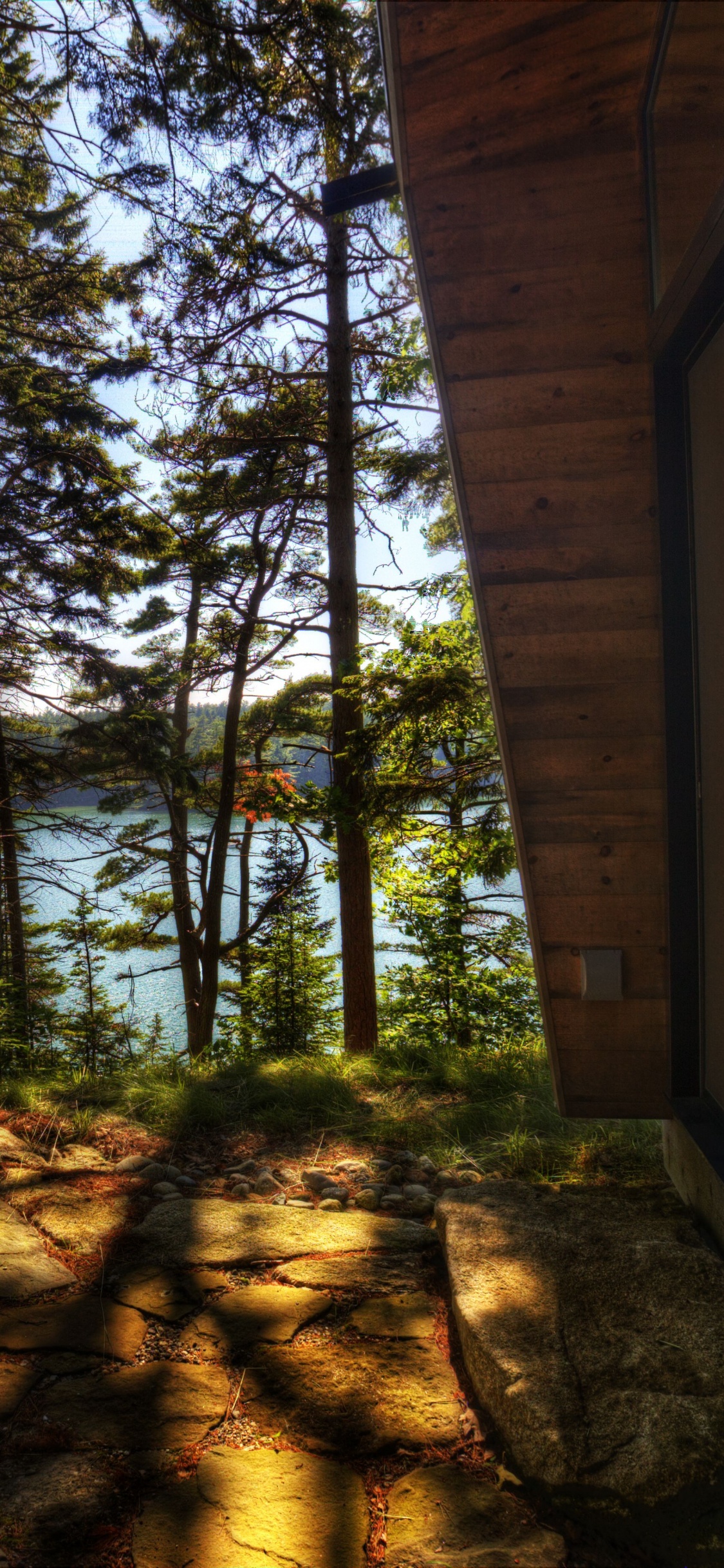 Brown Wooden House Near Green Trees During Daytime. Wallpaper in 1125x2436 Resolution