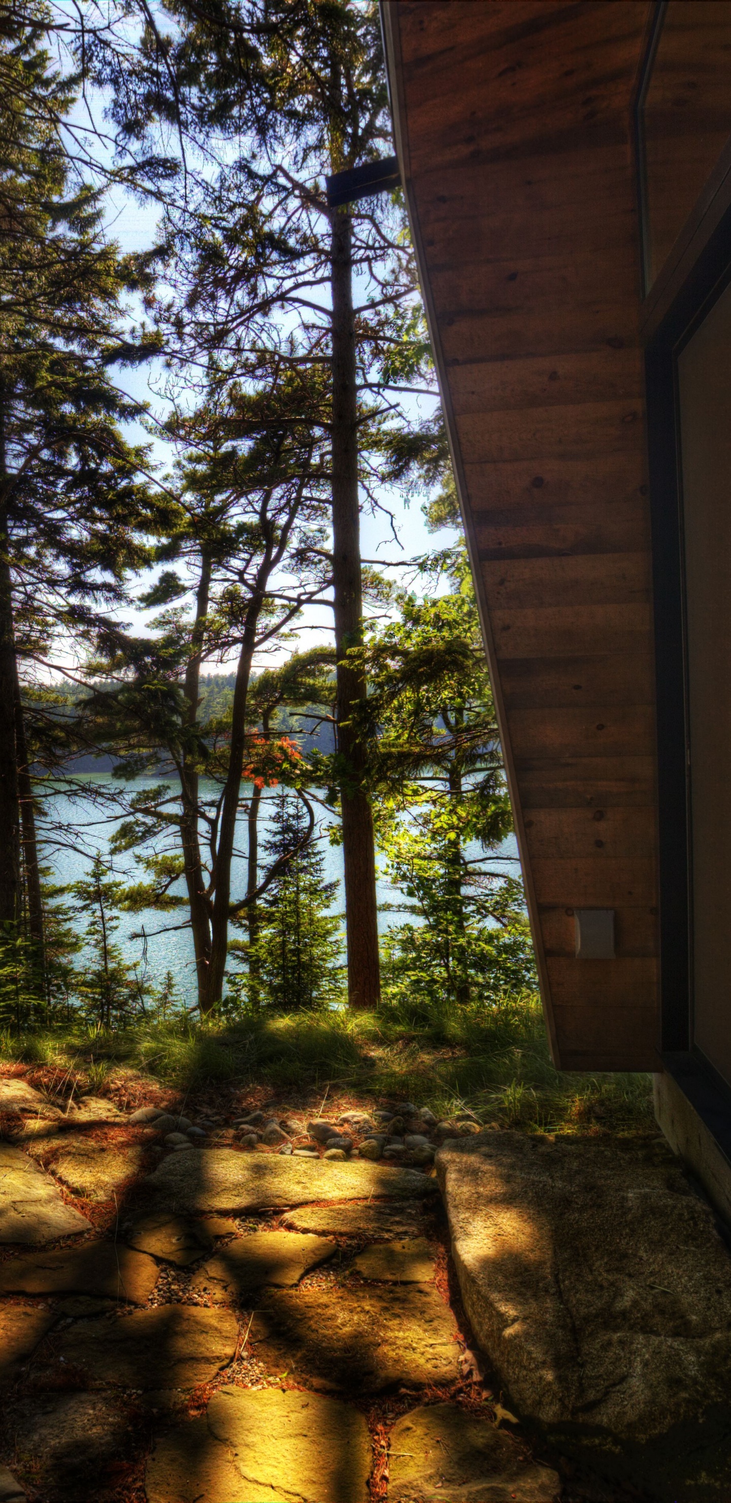 Brown Wooden House Near Green Trees During Daytime. Wallpaper in 1440x2960 Resolution