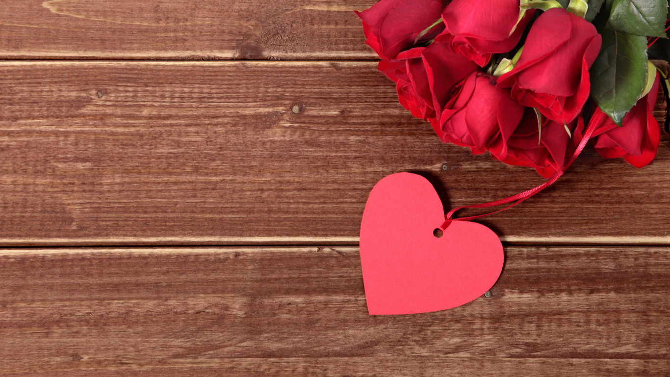 el Día de San Valentín, Coraz, Regalo, Rojo, Rosa. Wallpaper in 1366x768 Resolution