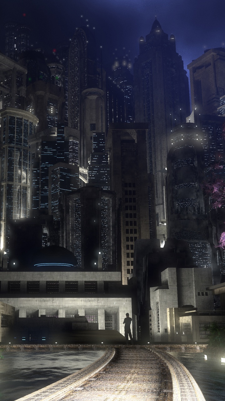 Purple and White Flowers on Gray Concrete Road. Wallpaper in 720x1280 Resolution