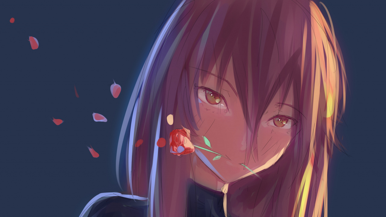 Braunhaariger Männlicher Anime-Charakter. Wallpaper in 1280x720 Resolution