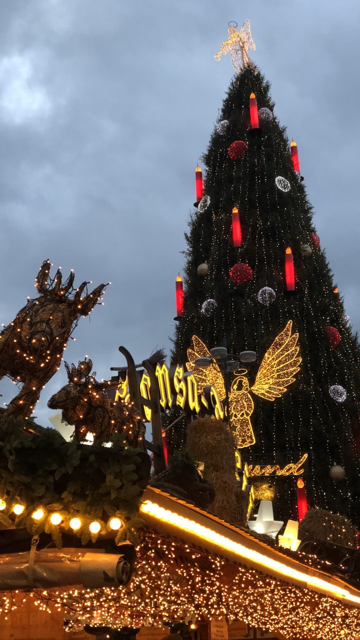 Weihnachtsbaum, Weihnachten, Fichte, Weihnachtsbeleuchtung, Tradition. Wallpaper in 720x1280 Resolution