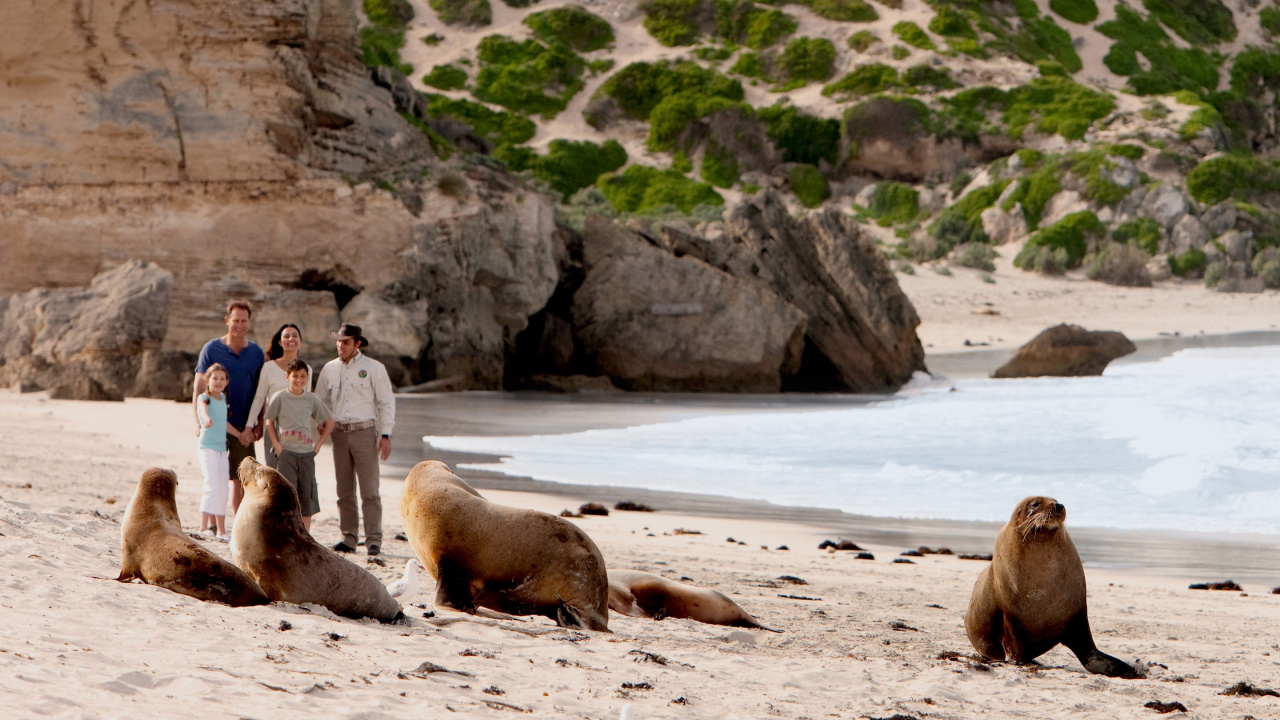 度假, 旅游业, 沙 壁纸 1280x720 允许