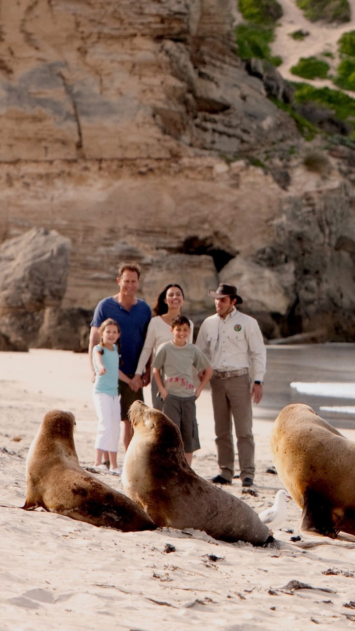 Man in Blue Dress Shirt Standing Beside Sea. Wallpaper in 720x1280 Resolution