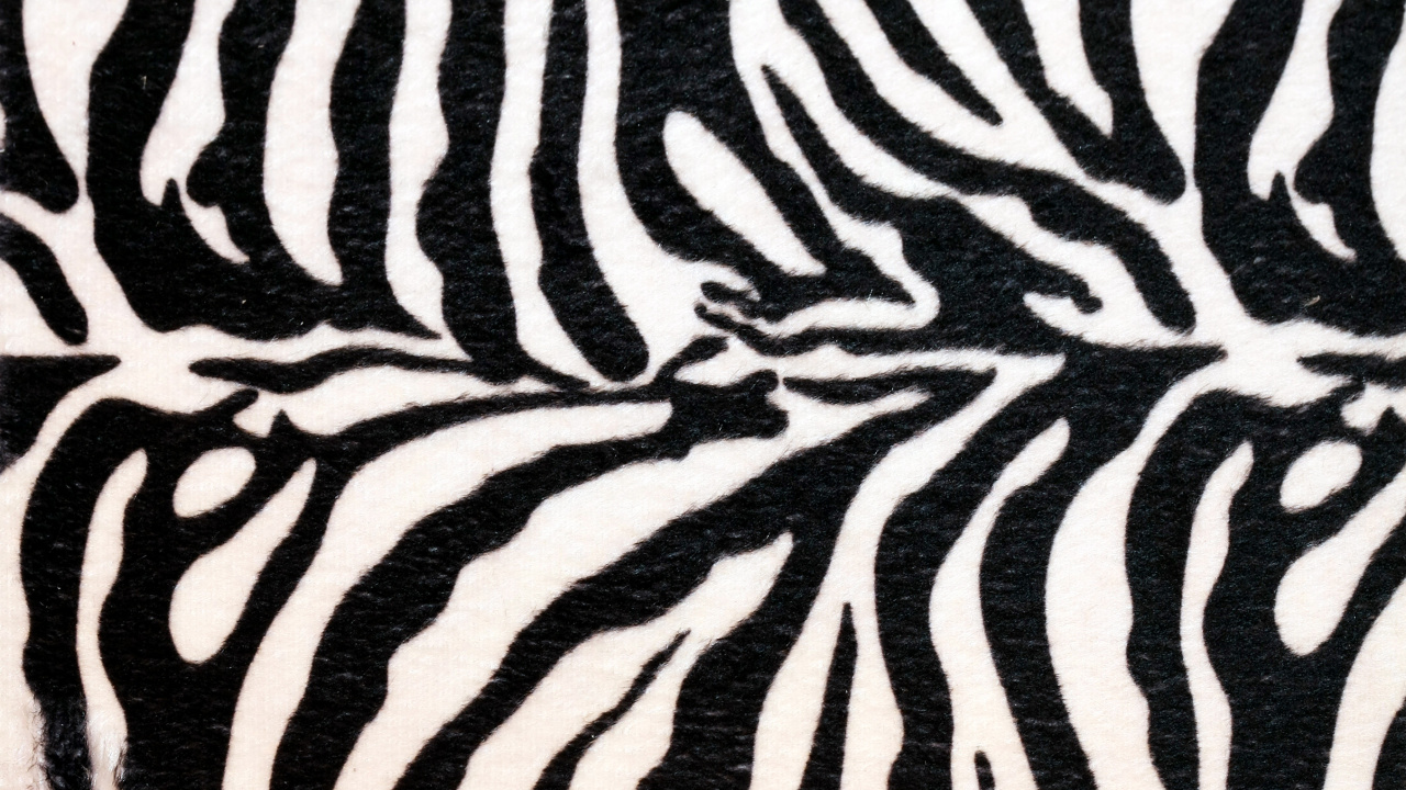 Schwarz-weißes Zebra-Textil. Wallpaper in 1280x720 Resolution