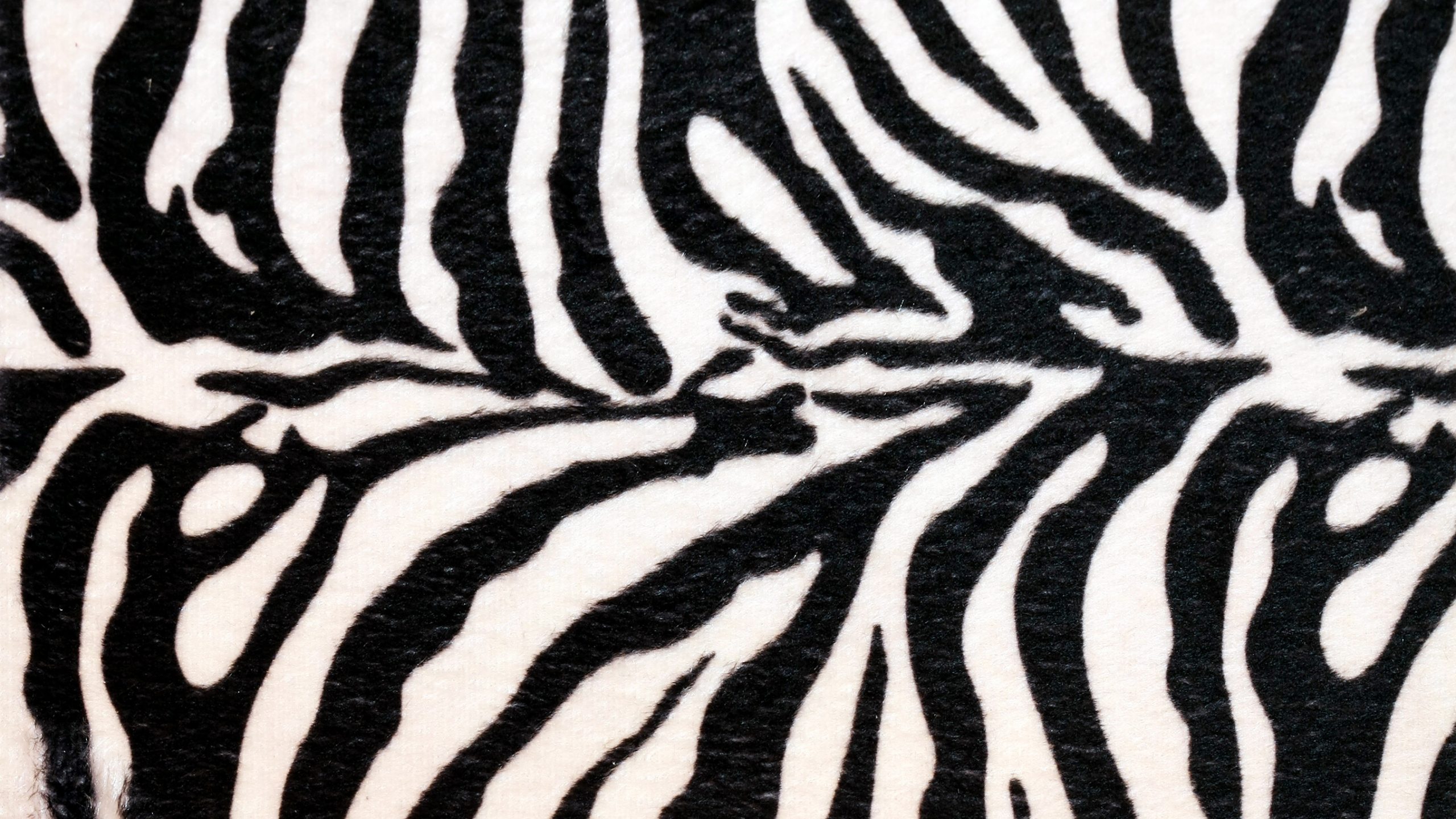 Schwarz-weißes Zebra-Textil. Wallpaper in 2560x1440 Resolution