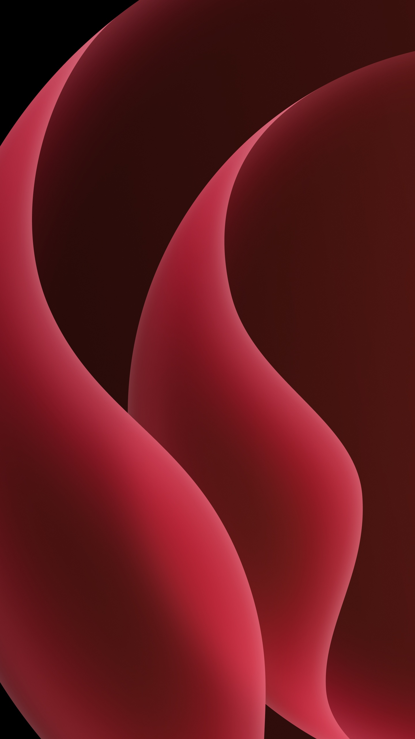 Colorfulness, Pink, Petal, Art, Magenta. Wallpaper in 1440x2560 Resolution