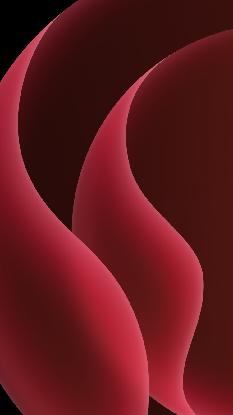 Colorfulness, Pink, Petal, Art, Magenta. Wallpaper in 750x1334 Resolution