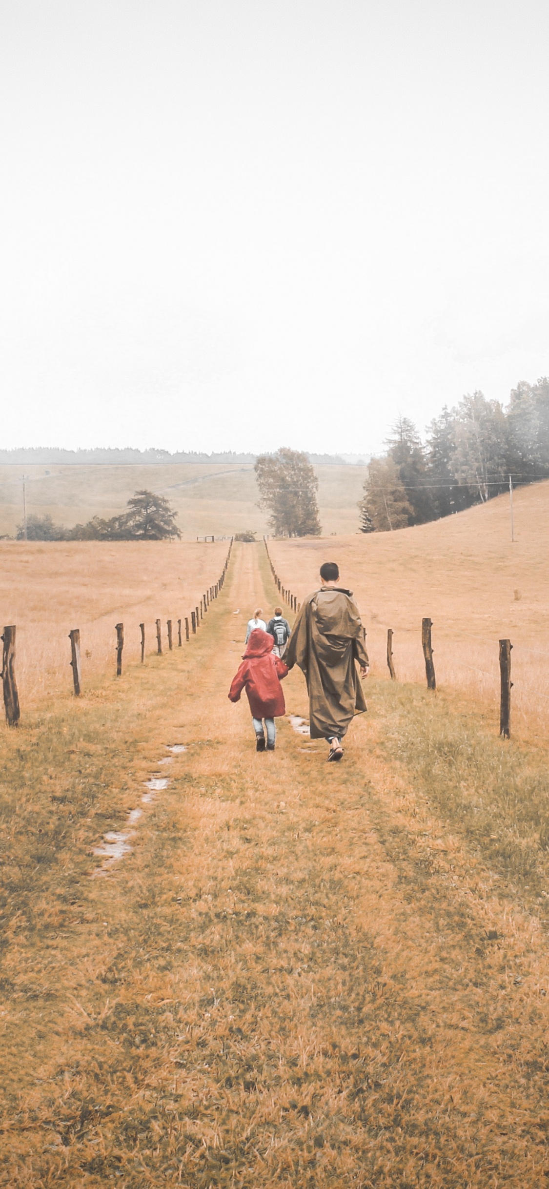 草家庭, 草原, 土路, 自然环境, 天空 壁纸 1125x2436 允许