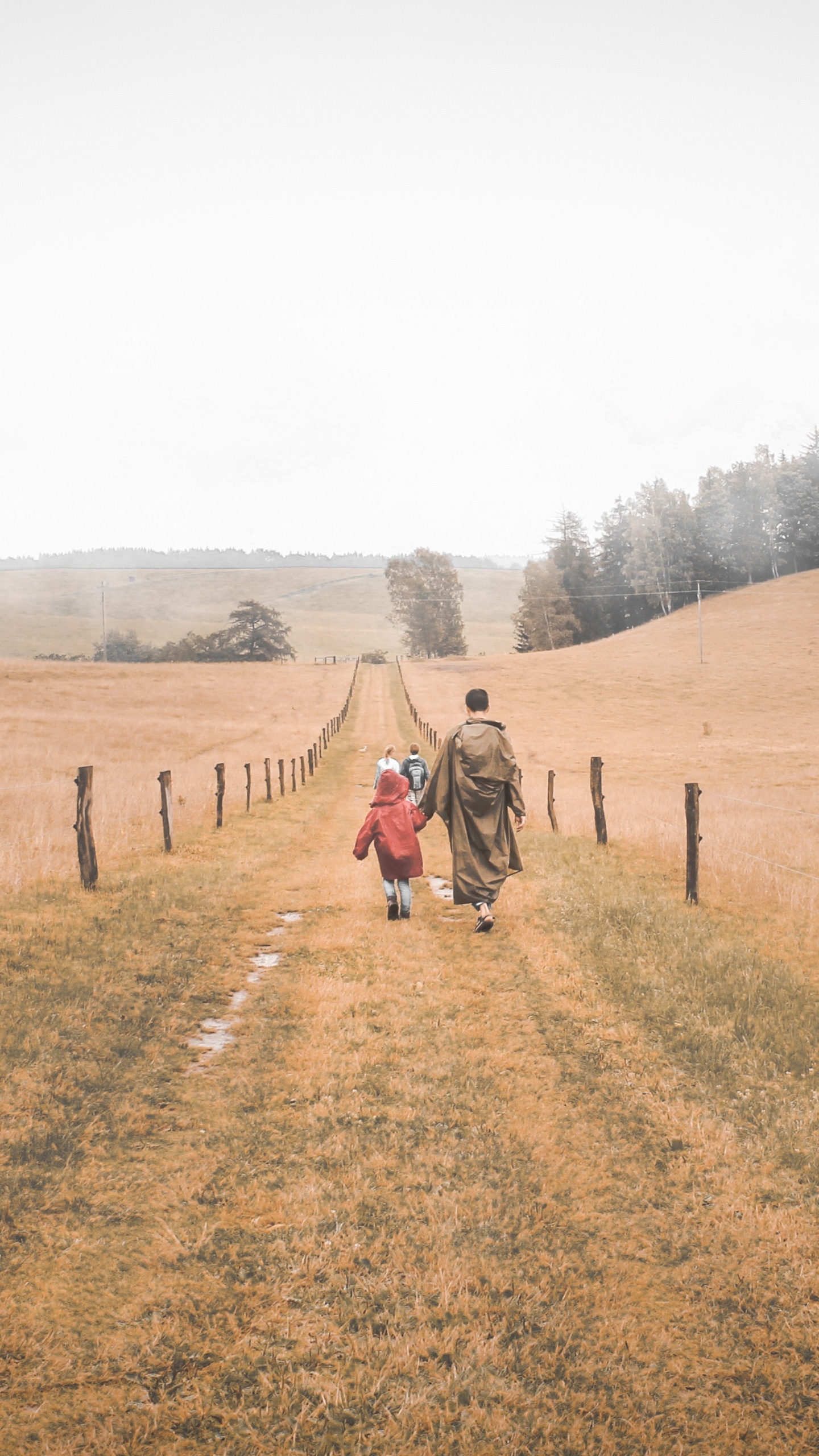 草家庭, 草原, 土路, 自然环境, 天空 壁纸 1440x2560 允许