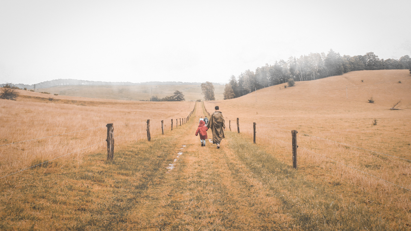 Grass Family, Steppe, Dirt Road, Natural Environment, Tree. Wallpaper in 1366x768 Resolution