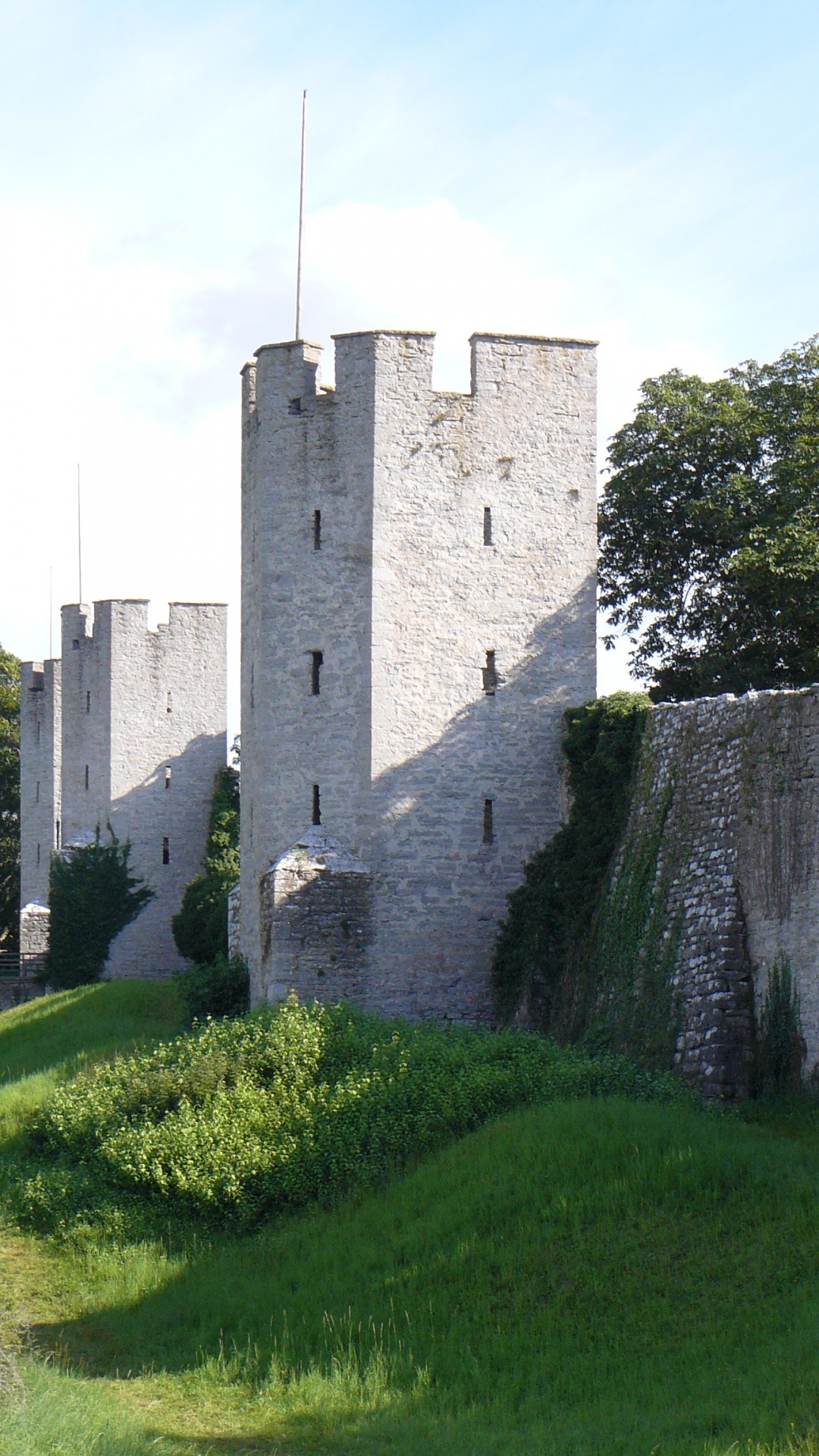 Graues Betongebäude Auf Grünem Grasfeld Tagsüber. Wallpaper in 1080x1920 Resolution