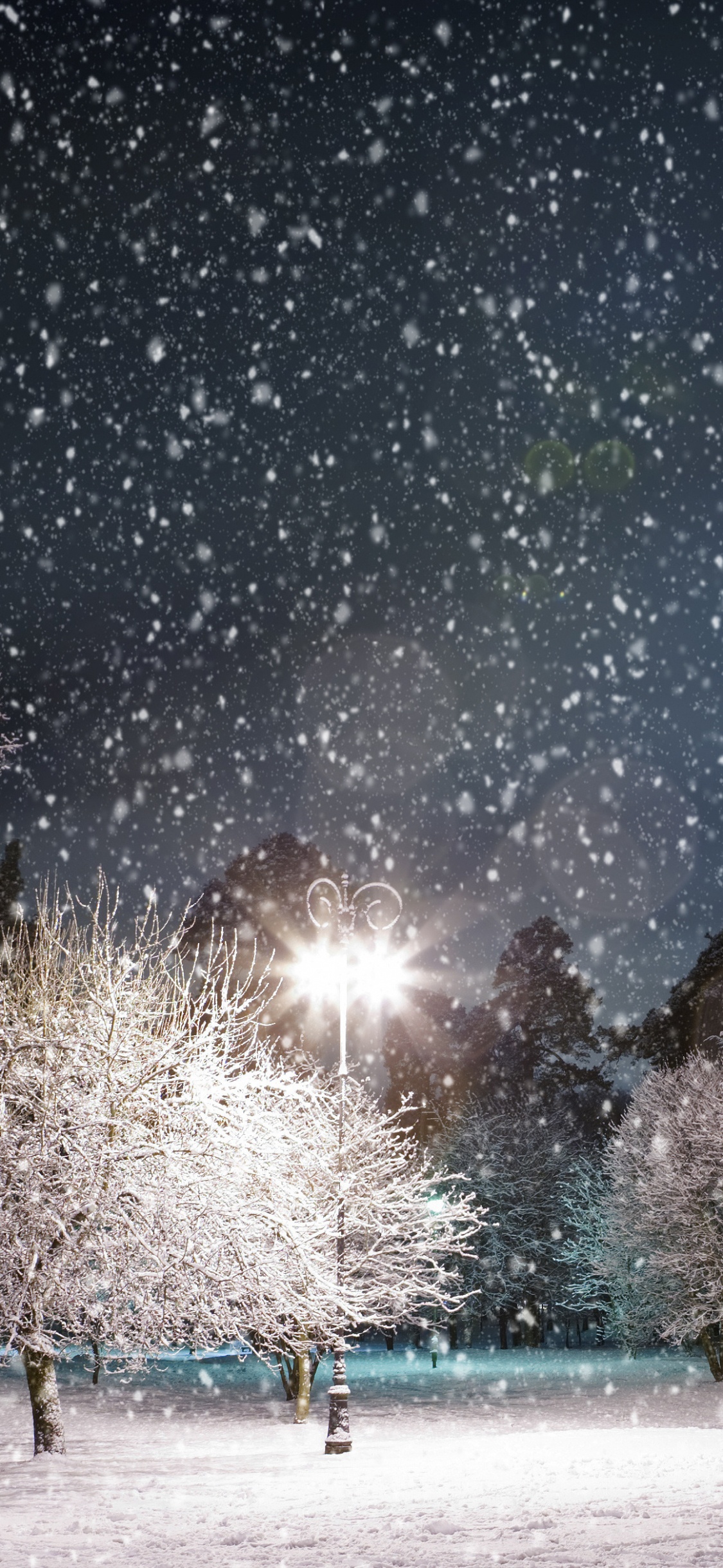 Personnes Marchant Sur un Terrain Couvert de Neige Pendant la Journée. Wallpaper in 1125x2436 Resolution