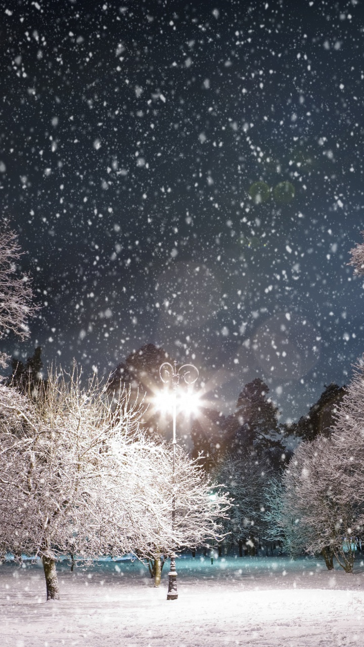 Personnes Marchant Sur un Terrain Couvert de Neige Pendant la Journée. Wallpaper in 720x1280 Resolution
