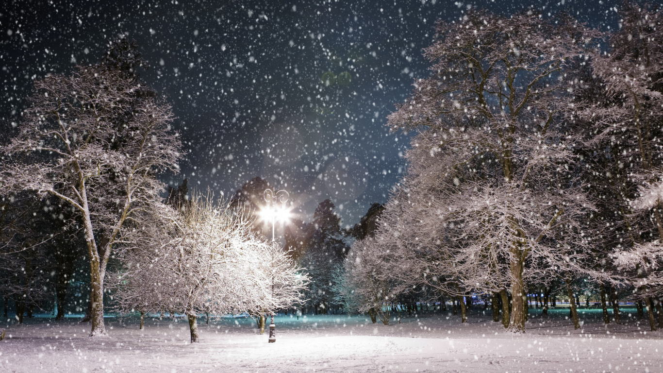 People Walking on Snow Covered Field During Daytime. Wallpaper in 1366x768 Resolution