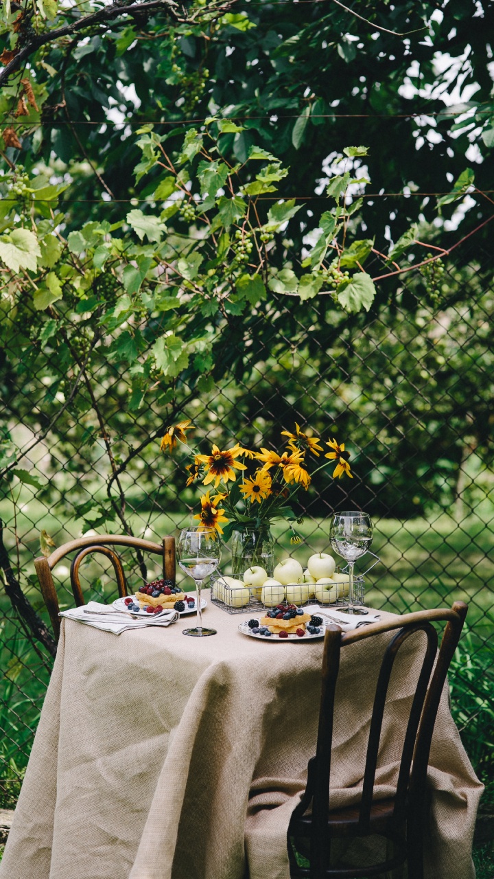 Weiße Tischdecke Mit Stühlen. Wallpaper in 720x1280 Resolution