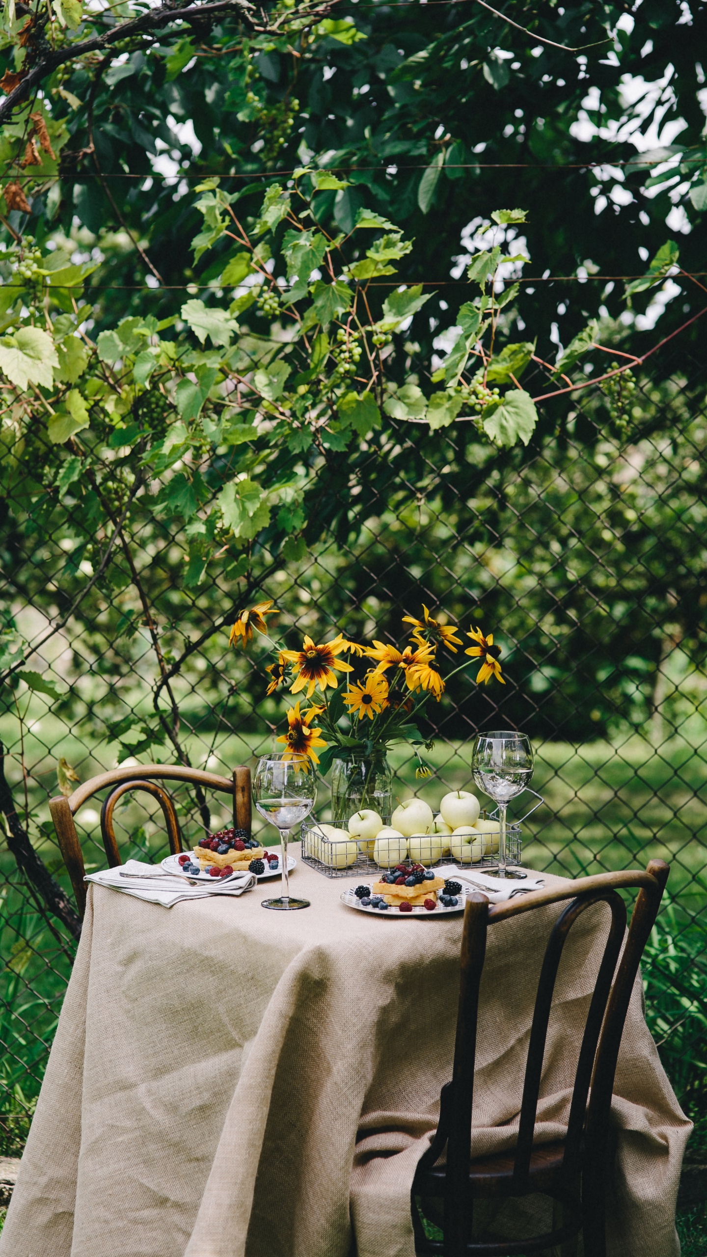 Nappe Blanche Avec Des Chaises. Wallpaper in 1440x2560 Resolution