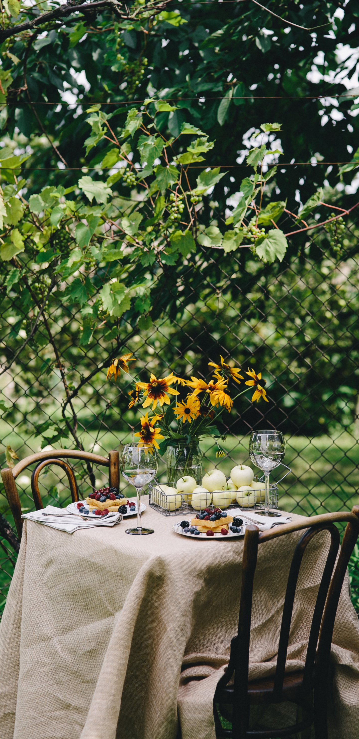 Nappe Blanche Avec Des Chaises. Wallpaper in 1440x2960 Resolution