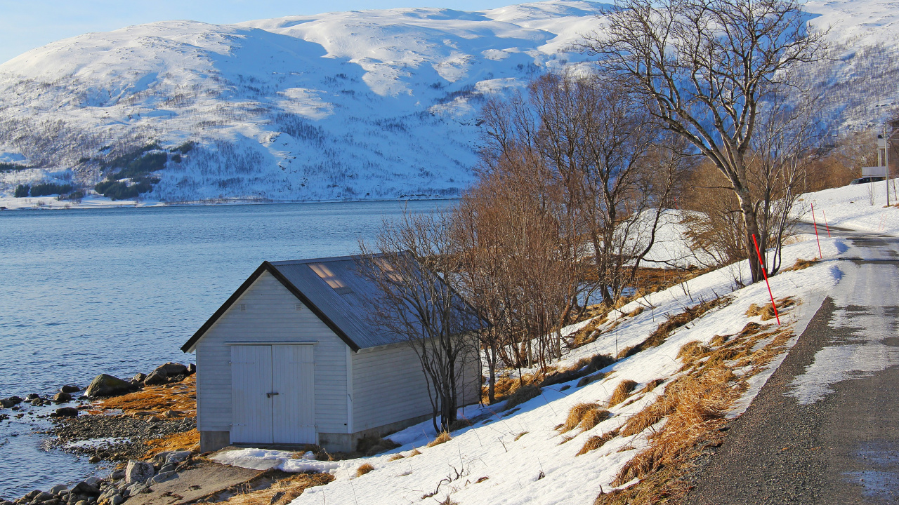 Brown Wooden House Near Bare Trees on Snow Covered Ground During Daytime. Wallpaper in 1280x720 Resolution