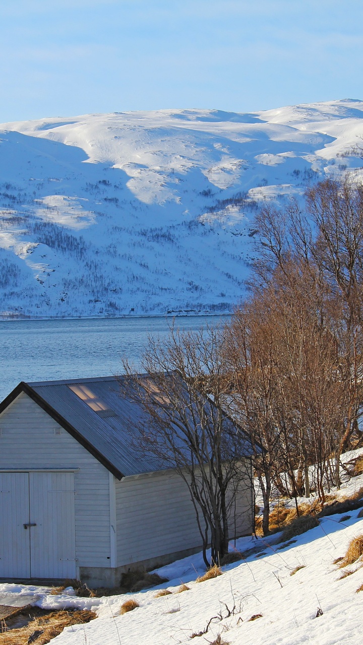 Brown Wooden House Near Bare Trees on Snow Covered Ground During Daytime. Wallpaper in 720x1280 Resolution