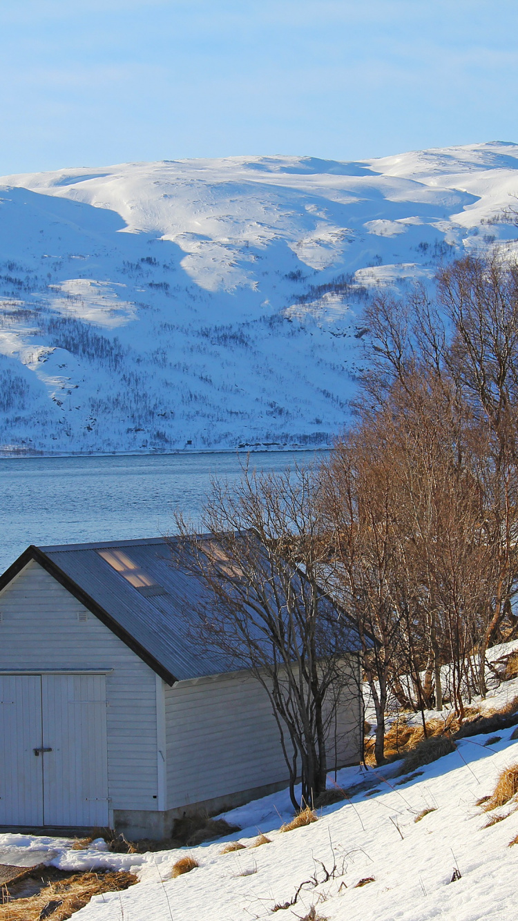 Brown Wooden House Near Bare Trees on Snow Covered Ground During Daytime. Wallpaper in 750x1334 Resolution