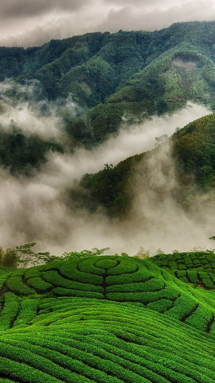 Green Grass Field Near Mountain During Daytime. Wallpaper in 720x1280 Resolution