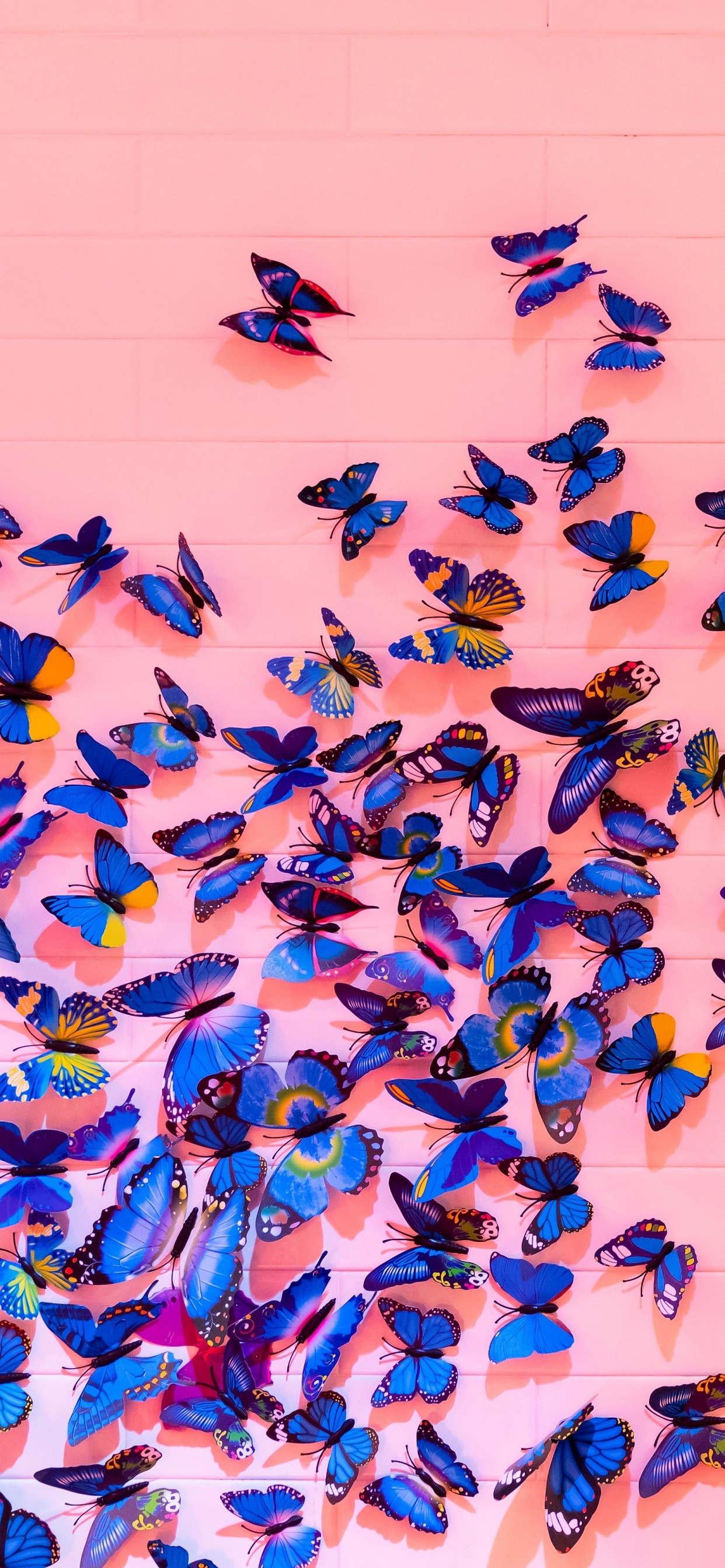 Blaue Und Schwarze Vögel Auf Weißer Wand. Wallpaper in 1242x2688 Resolution