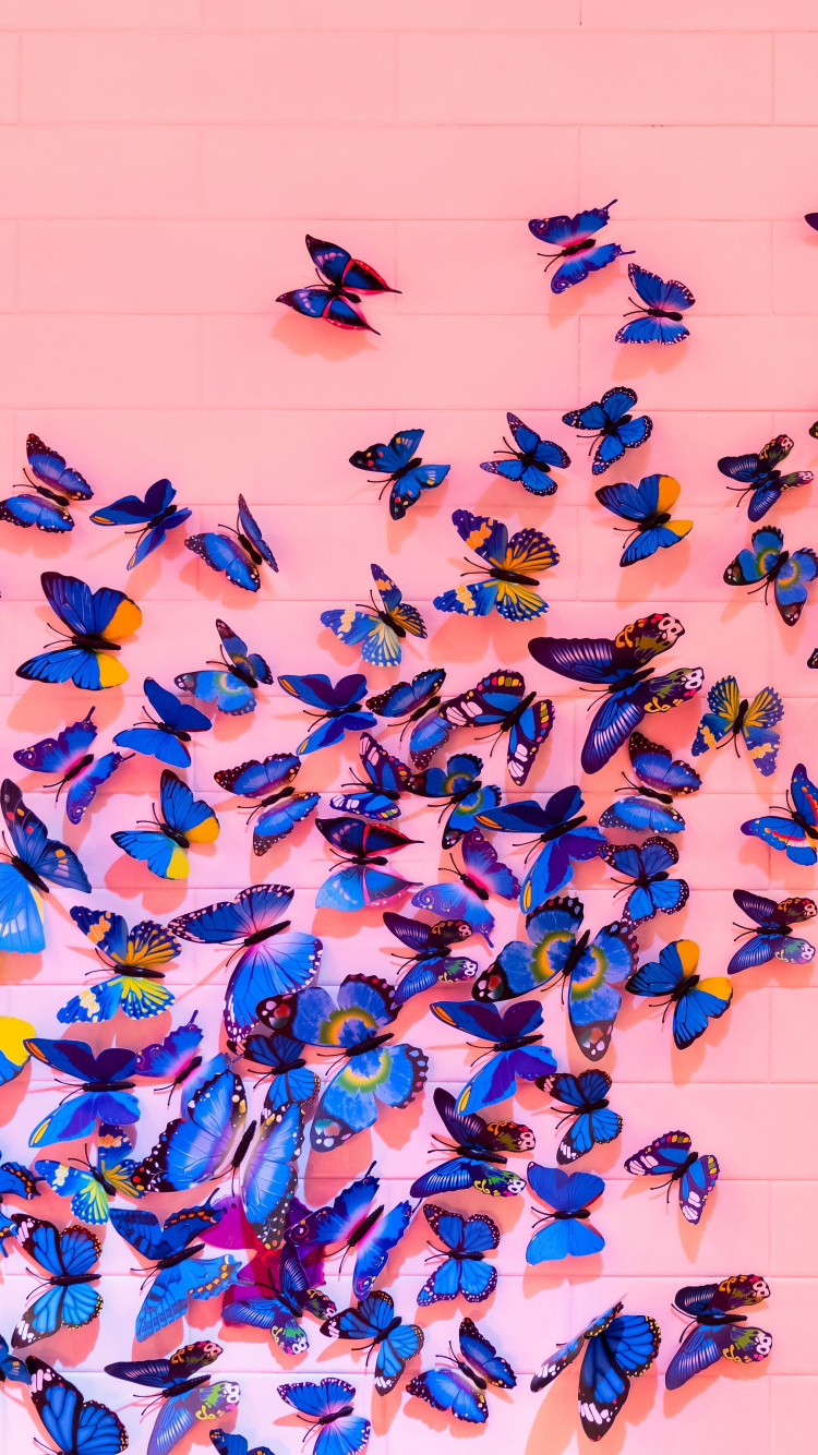 Blue and Black Birds on White Wall. Wallpaper in 750x1334 Resolution