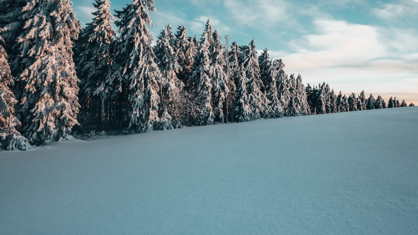 Tageszeit, Baum, Winter, Blau, Schnee. Wallpaper in 1366x768 Resolution