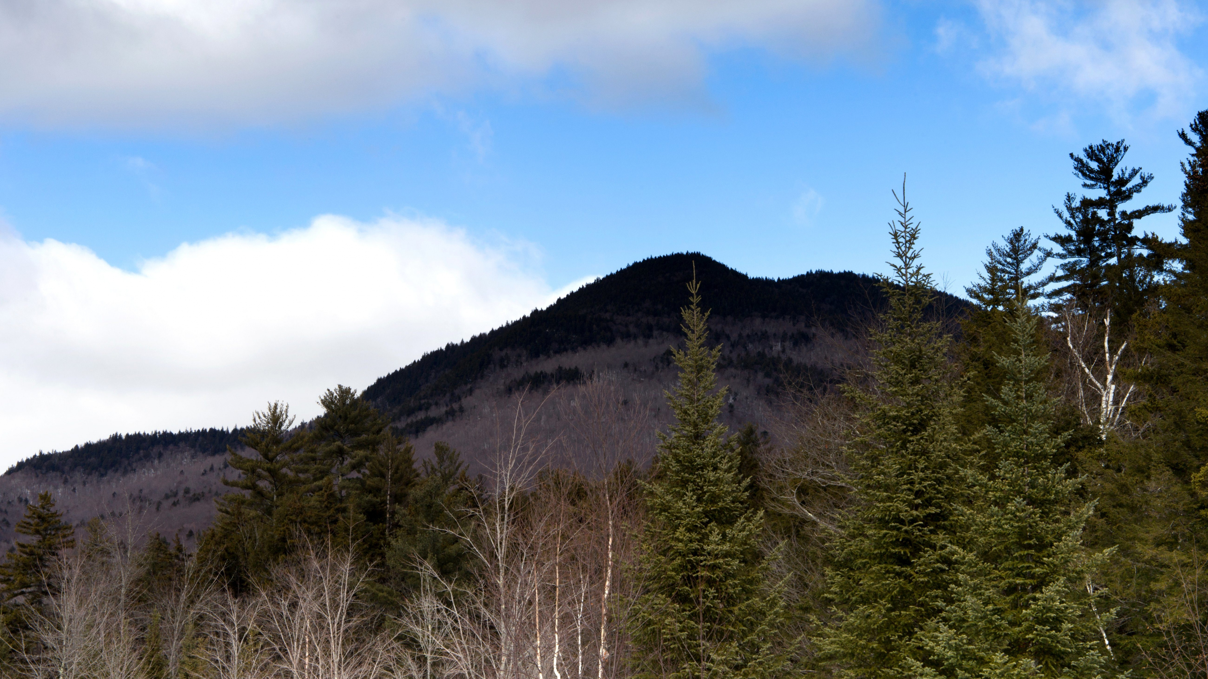 Arbres Verts Sur la Montagne Sous Ciel Bleu Pendant la Journée. Wallpaper in 3840x2160 Resolution