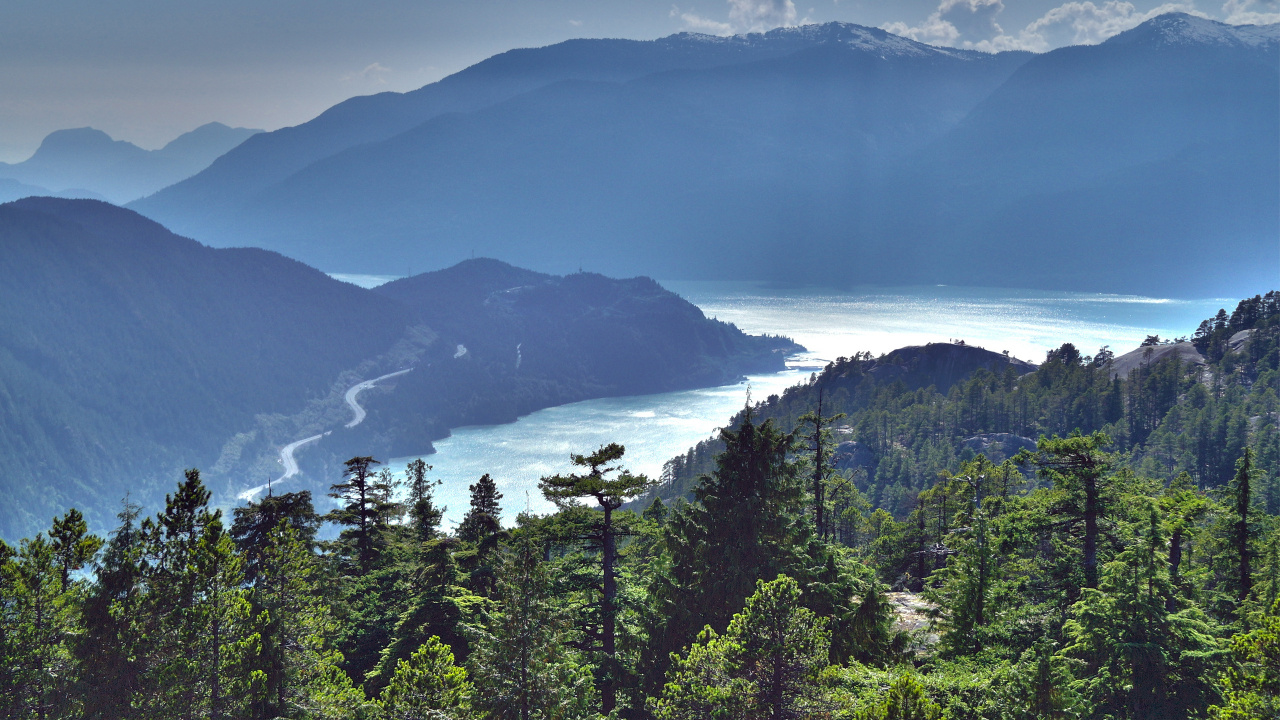 Green Trees Near Mountain During Daytime. Wallpaper in 1280x720 Resolution