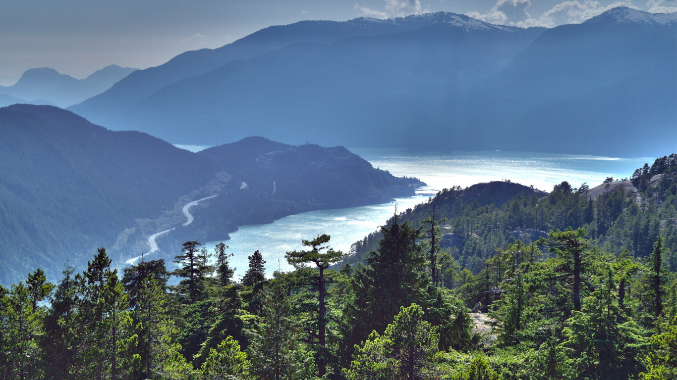 Green Trees Near Mountain During Daytime. Wallpaper in 1366x768 Resolution