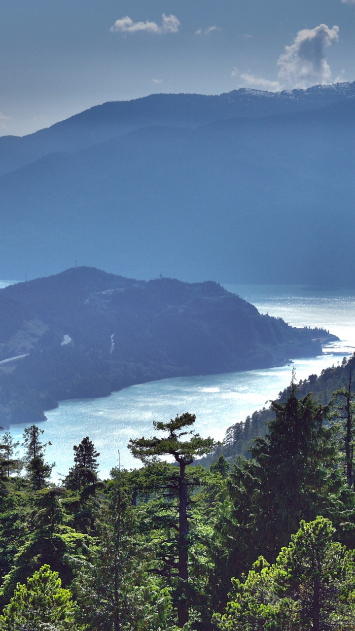 Green Trees Near Mountain During Daytime. Wallpaper in 720x1280 Resolution