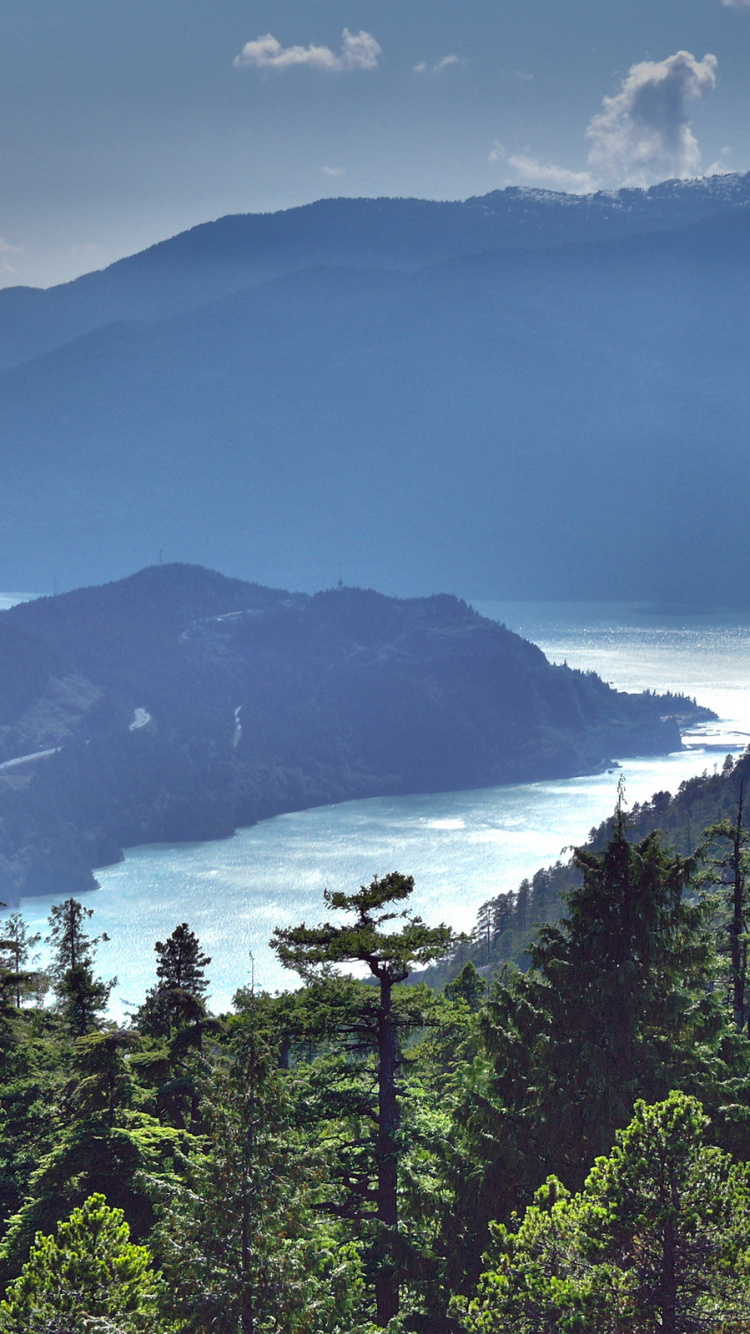 Grüne Bäume in Der Nähe Des Berges Tagsüber Mountain. Wallpaper in 750x1334 Resolution