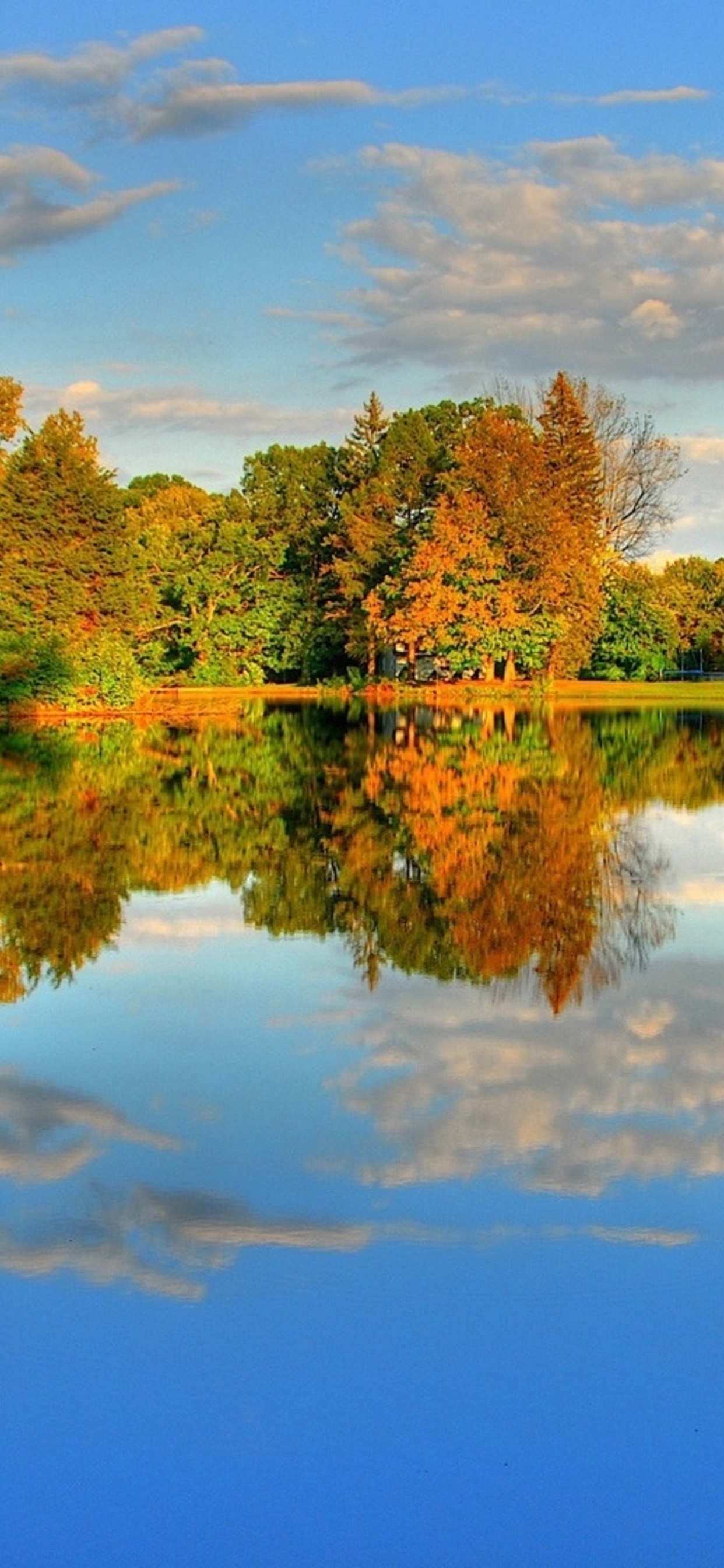 Grüne Bäume am See Unter Blauem Himmel Tagsüber. Wallpaper in 1242x2688 Resolution