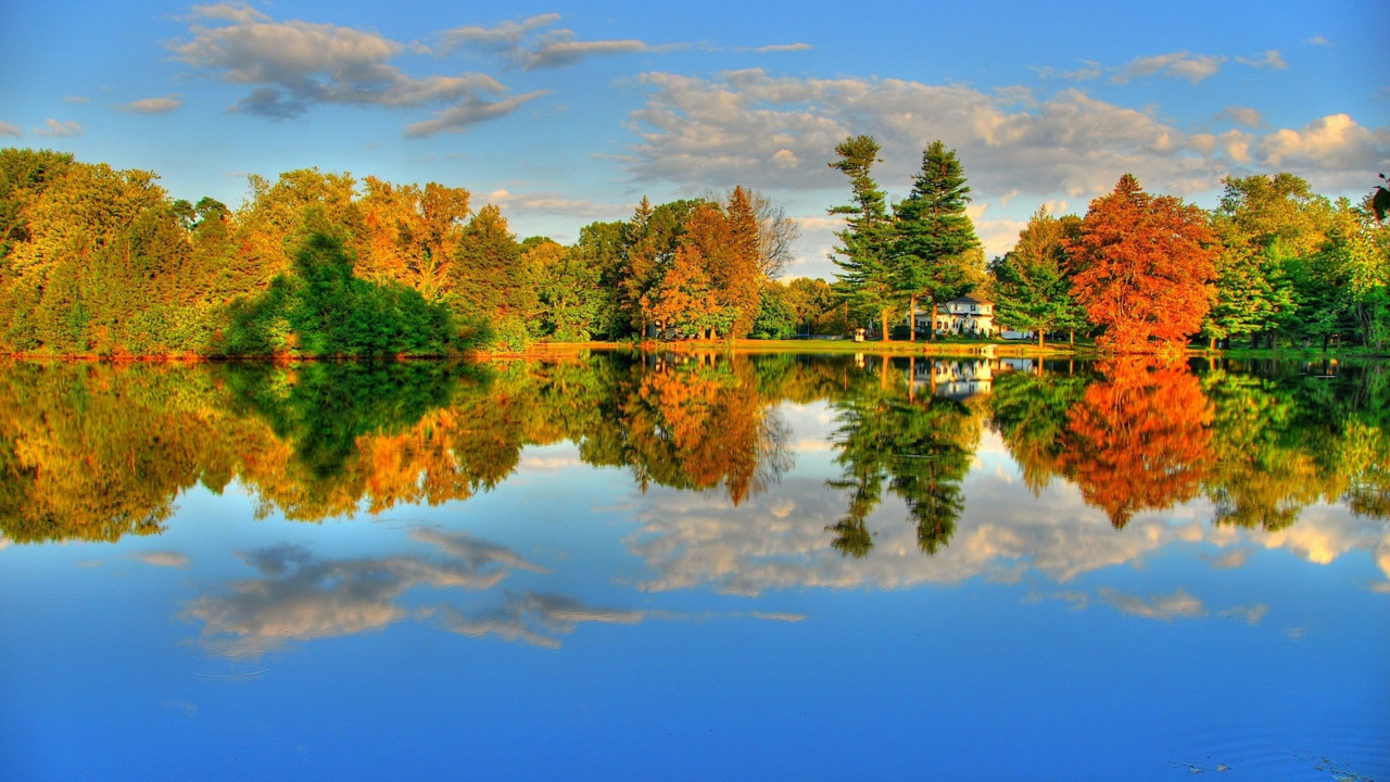 Grüne Bäume am See Unter Blauem Himmel Tagsüber. Wallpaper in 1280x720 Resolution