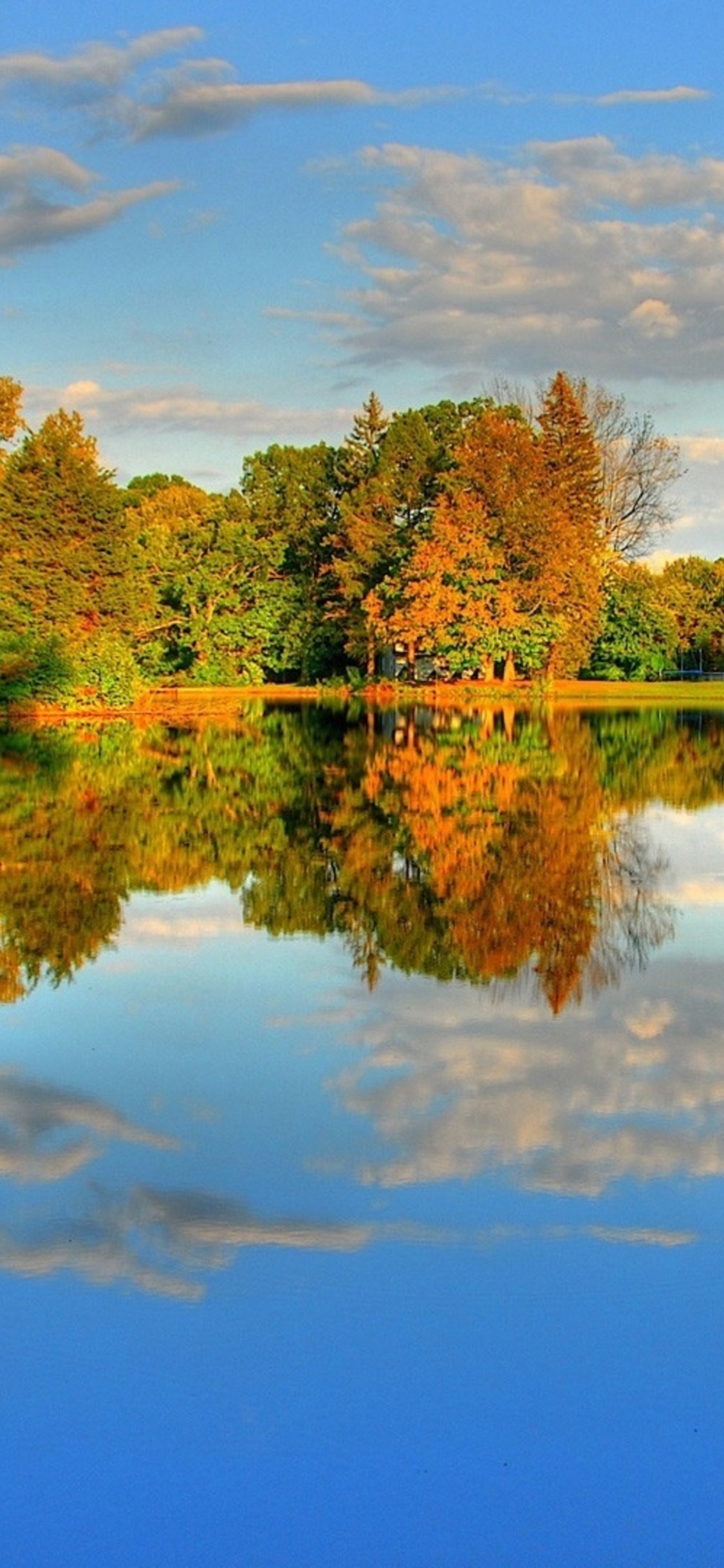 Árboles Verdes Junto al Lago Bajo un Cielo Azul Durante el Día. Wallpaper in 1125x2436 Resolution