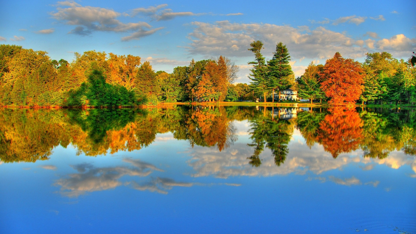 Arbres Verts au Bord du Lac Sous Ciel Bleu Pendant la Journée. Wallpaper in 1366x768 Resolution