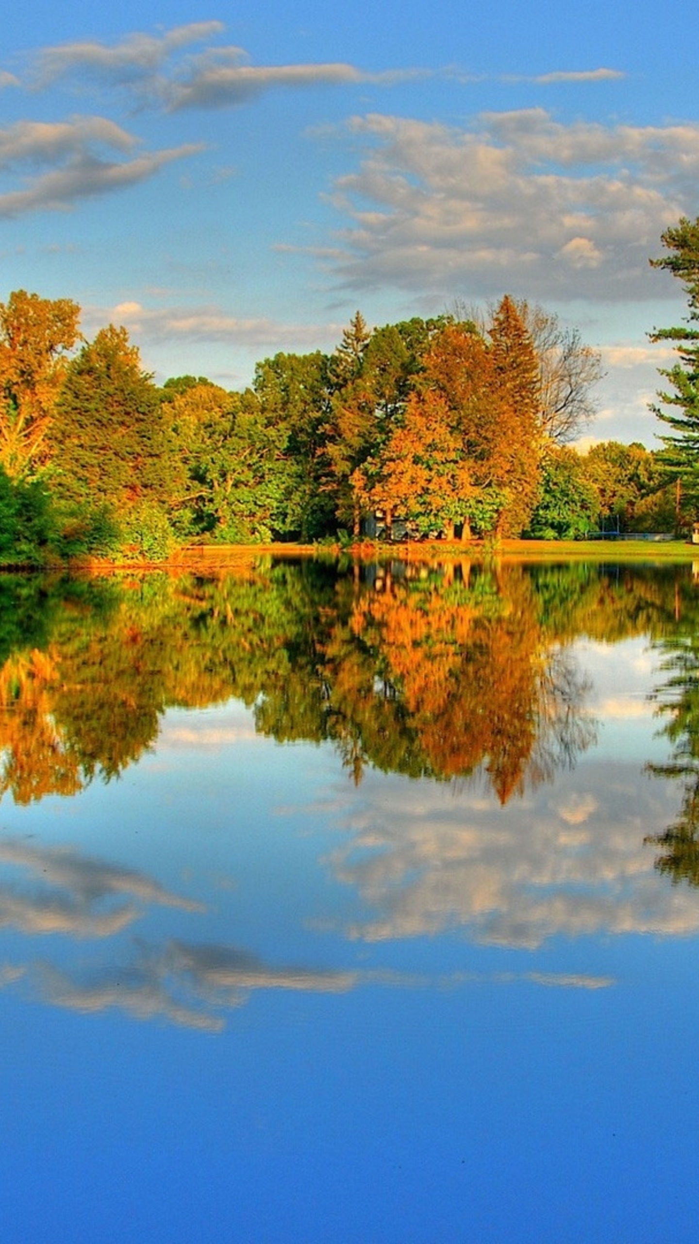 Arbres Verts au Bord du Lac Sous Ciel Bleu Pendant la Journée. Wallpaper in 1440x2560 Resolution