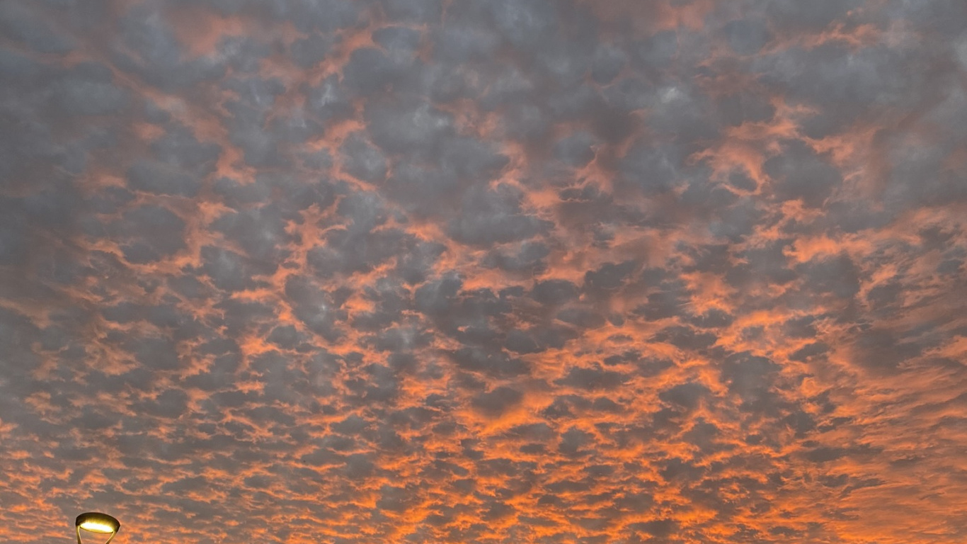 Body of Water, Night, Nature, Sun, Branch. Wallpaper in 1366x768 Resolution