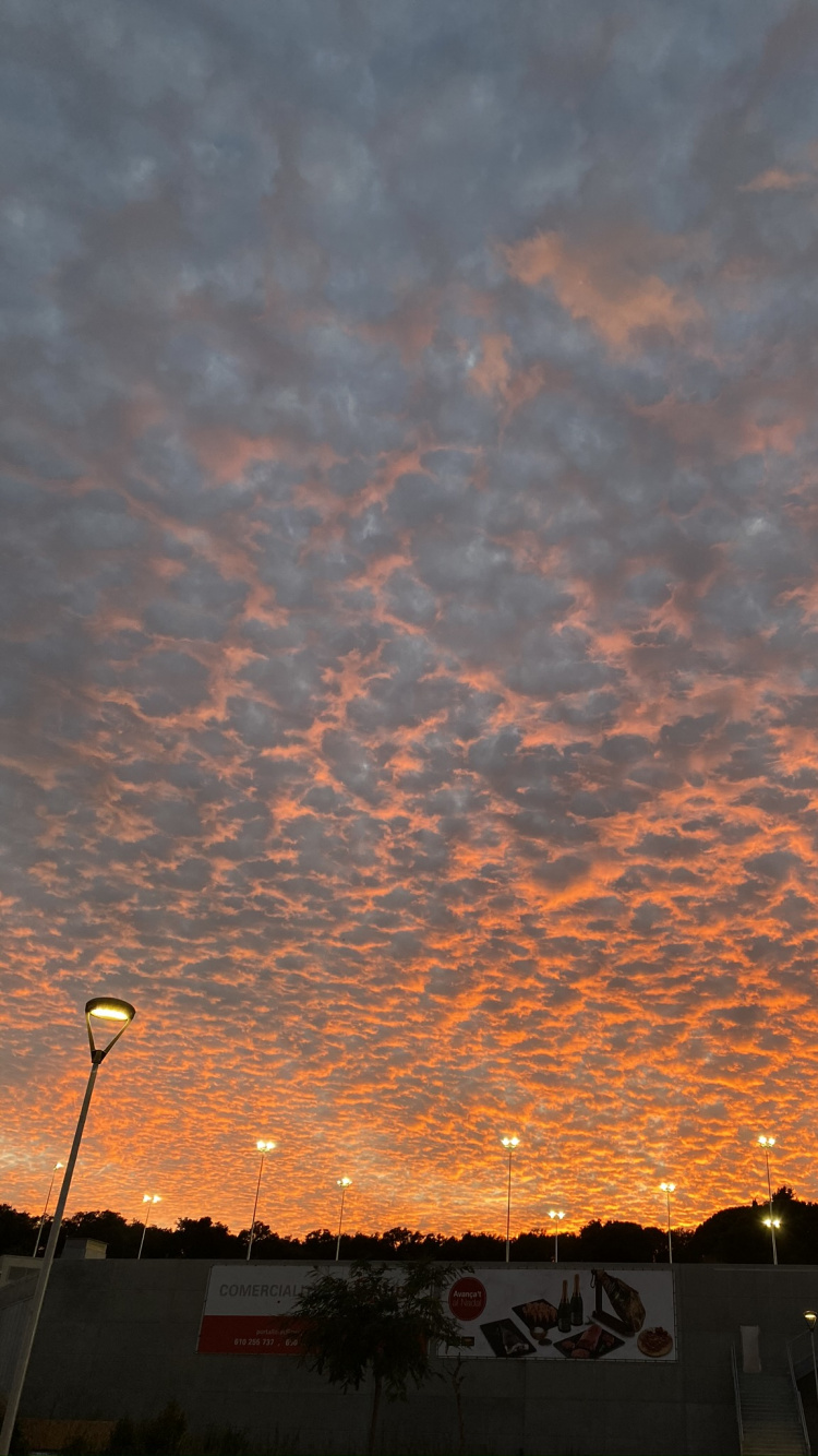 Corps de L'eau, Nuit, Nature, Soleil, Route. Wallpaper in 750x1334 Resolution