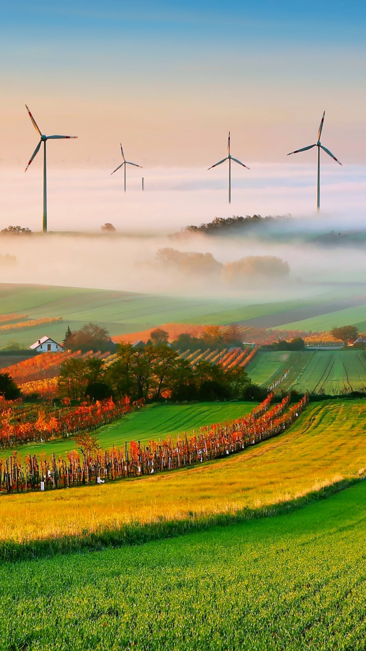 Windkraftanlagen Auf Der Grünen Wiese Tagsüber. Wallpaper in 750x1334 Resolution