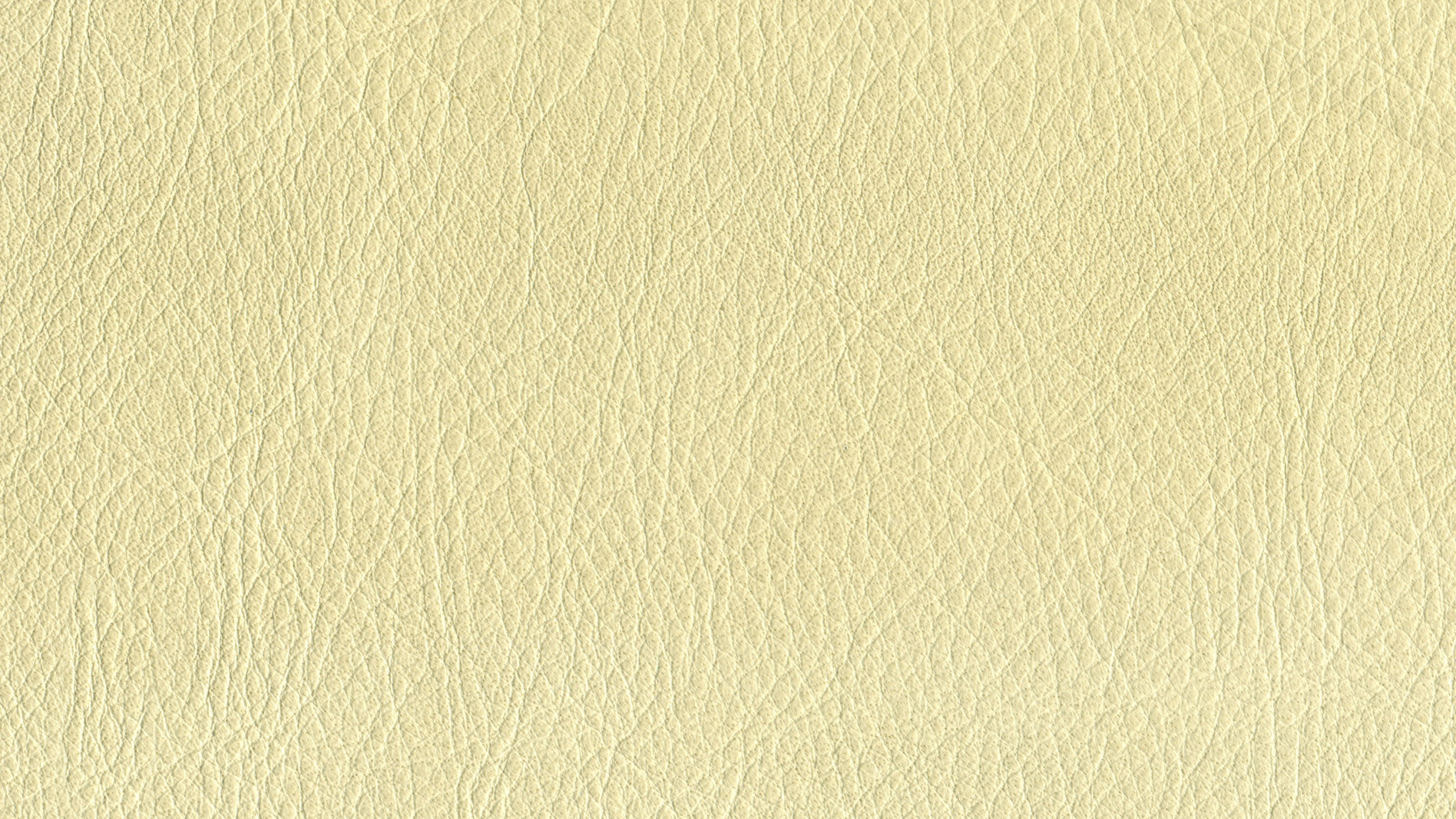 Pintura de Pared Blanca Con Adorno Redondo Negro. Wallpaper in 2560x1440 Resolution