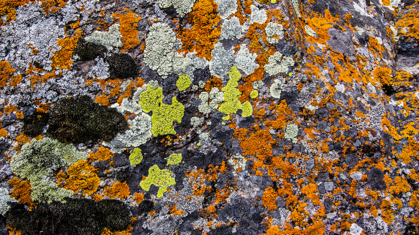 Braune Und Schwarze Steinfragmente. Wallpaper in 1366x768 Resolution