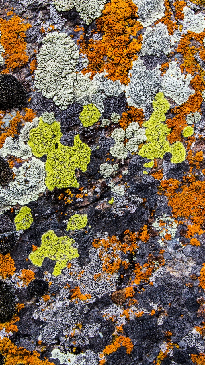 Brown and Black Stone Fragments. Wallpaper in 720x1280 Resolution