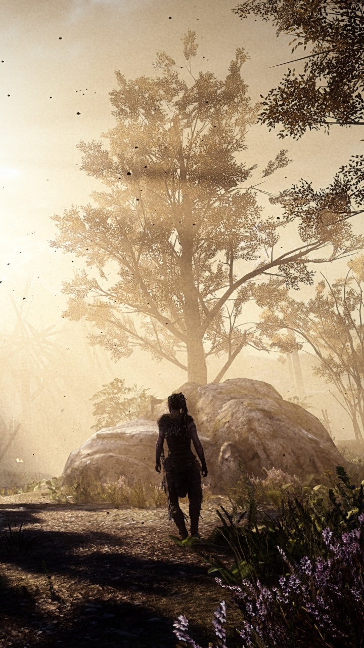 Nature, Lumière, Atmosphère, Matin, Forêt. Wallpaper in 720x1280 Resolution