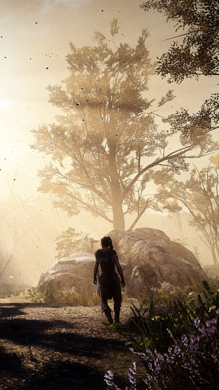 Nature, Lumière, Atmosphère, Matin, Forêt. Wallpaper in 750x1334 Resolution